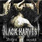Black Harvest (USA) : Shrine of Hours